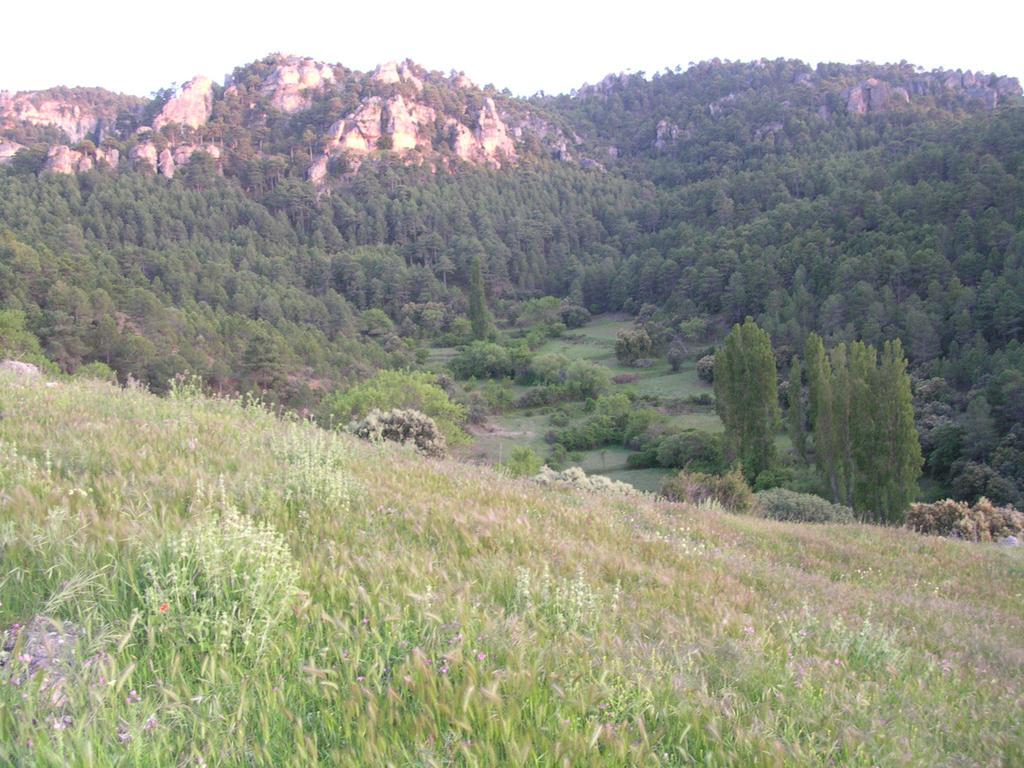 蓬托内斯 La Casa De La Luz旅馆 外观 照片